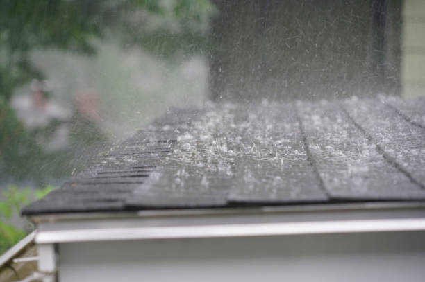 Best Steel Roofing  in Mullins, SC